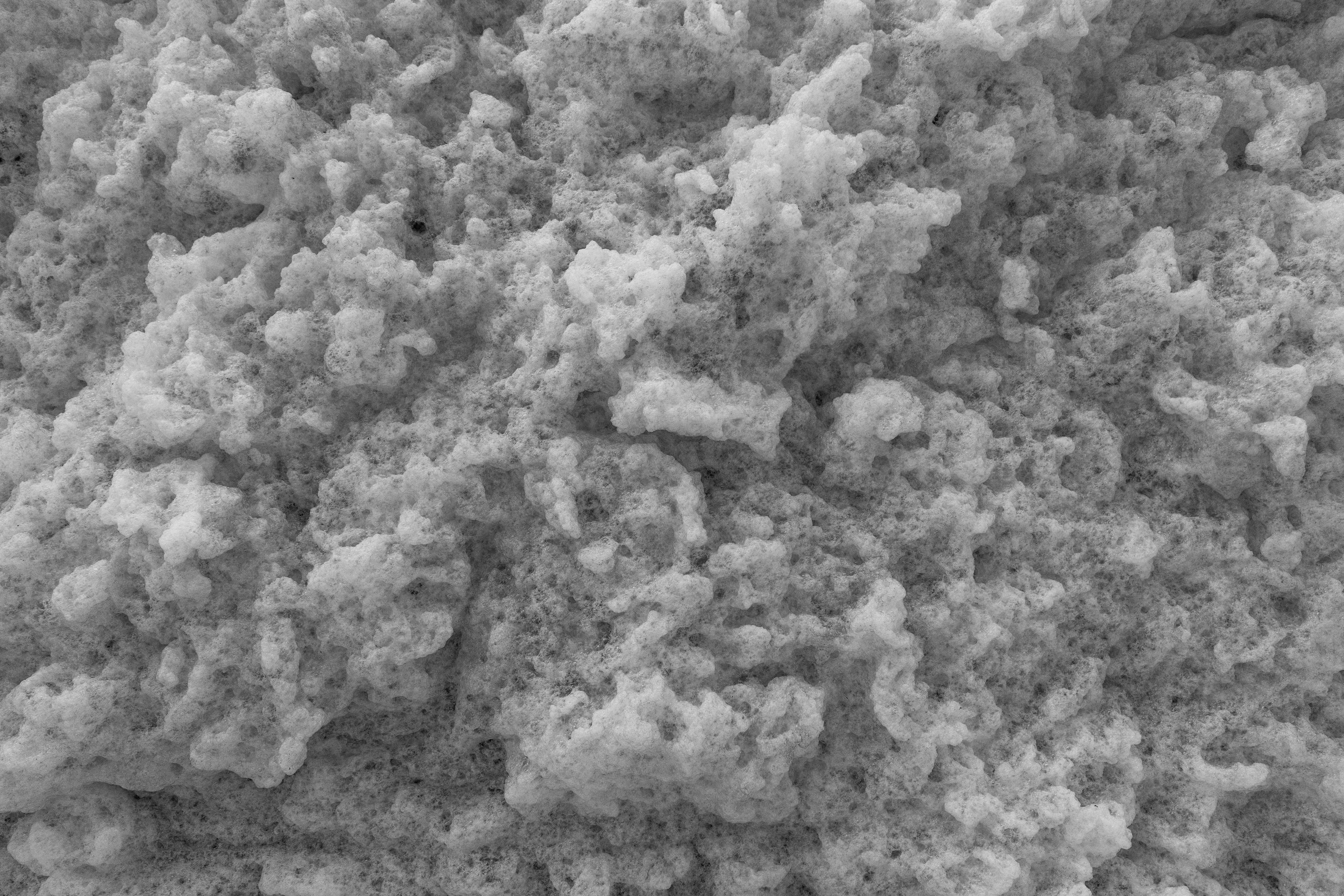 노인 황사 질환