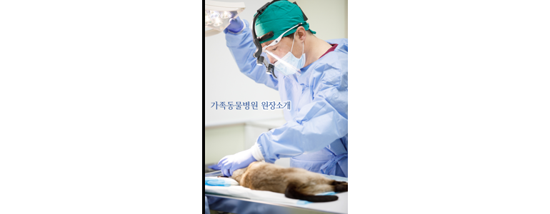 군산시 동물병원