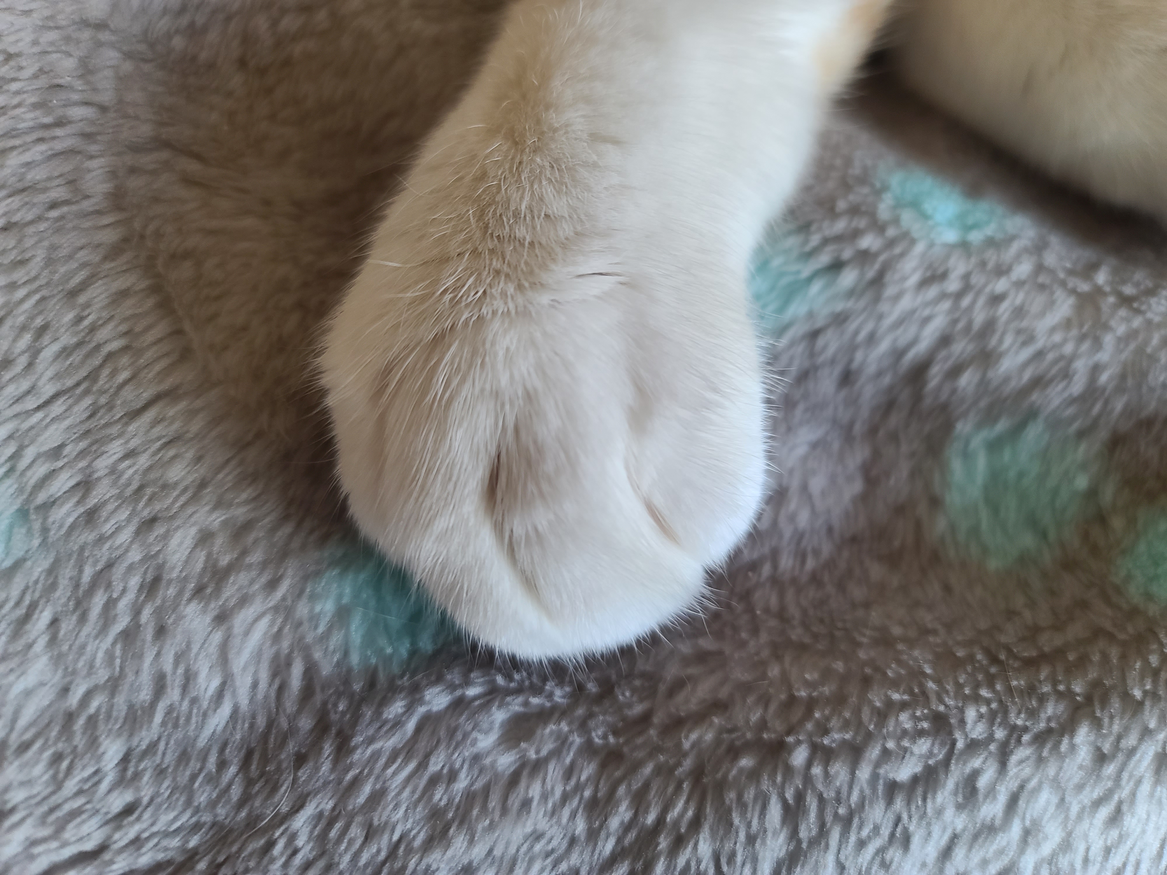 안아달라 칭얼대는 막둥이