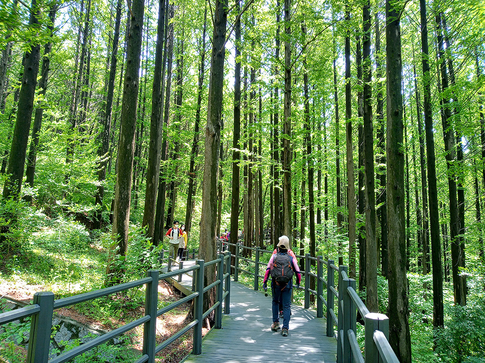 이마트24 등산챌린지