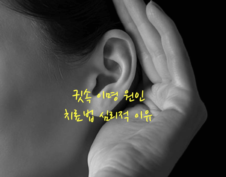귓속 이명