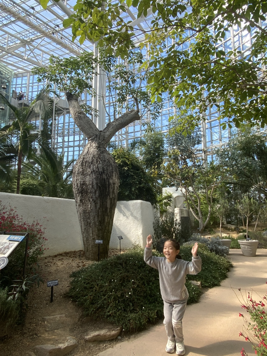 세종 아이와 가볼 만 한 곳 (세종수목원)