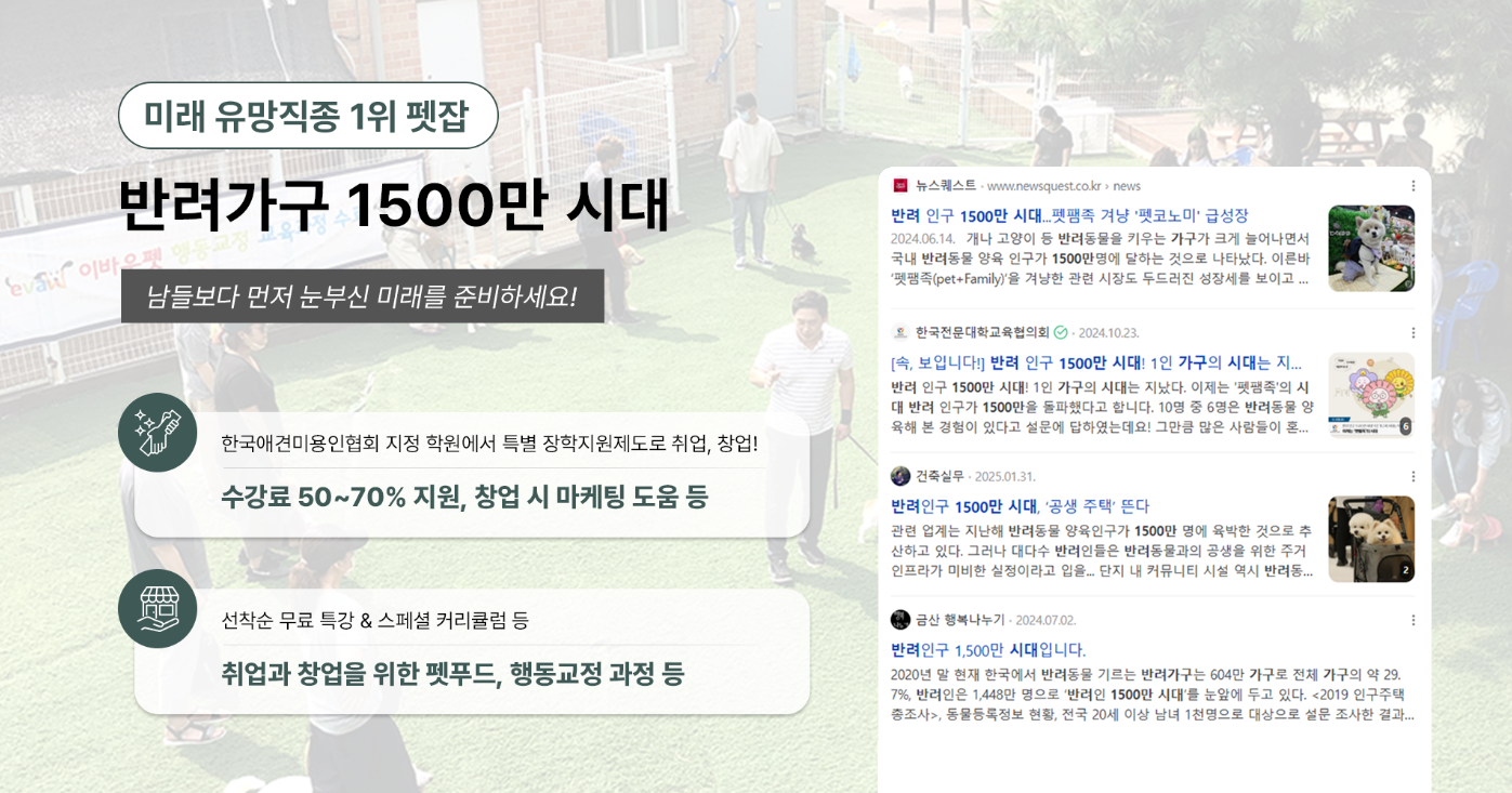 애견미용학원국비