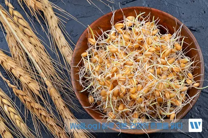 파로 효소 효능, 먹는 법