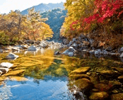 단풍여행 1박2일 버스 단풍구경