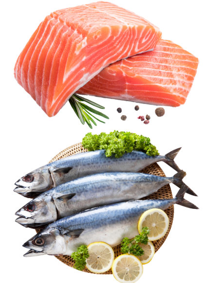 연어, 고등어와 같은 오메가3 관련 식품 이미지