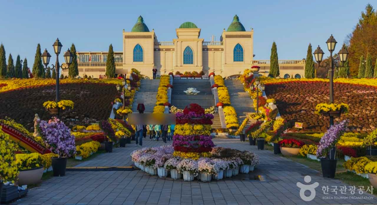 다양한 품종의 장미가 식재된 장미원 풍경. [ⓒ대한민국 구석구석]