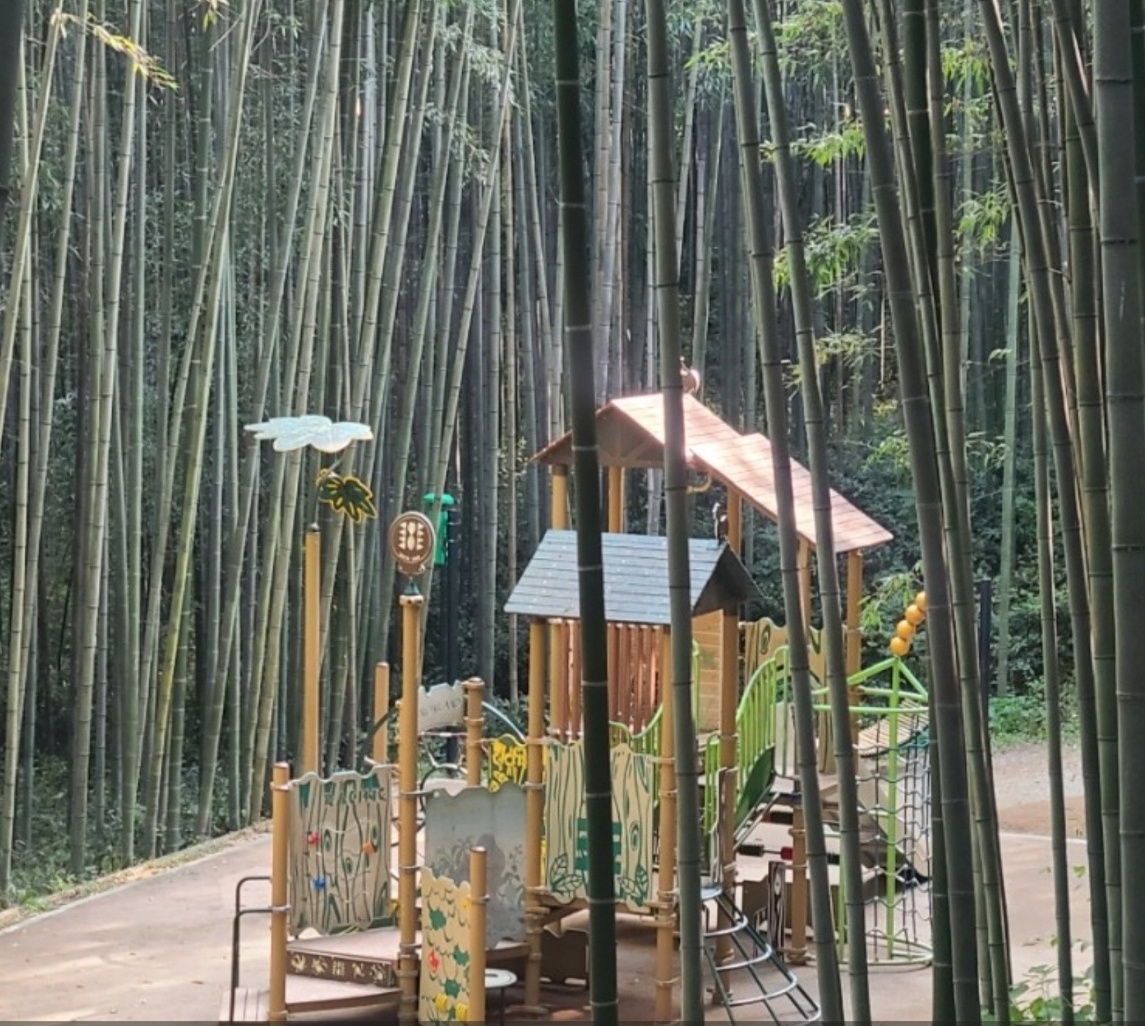 담양 죽녹원 이미지