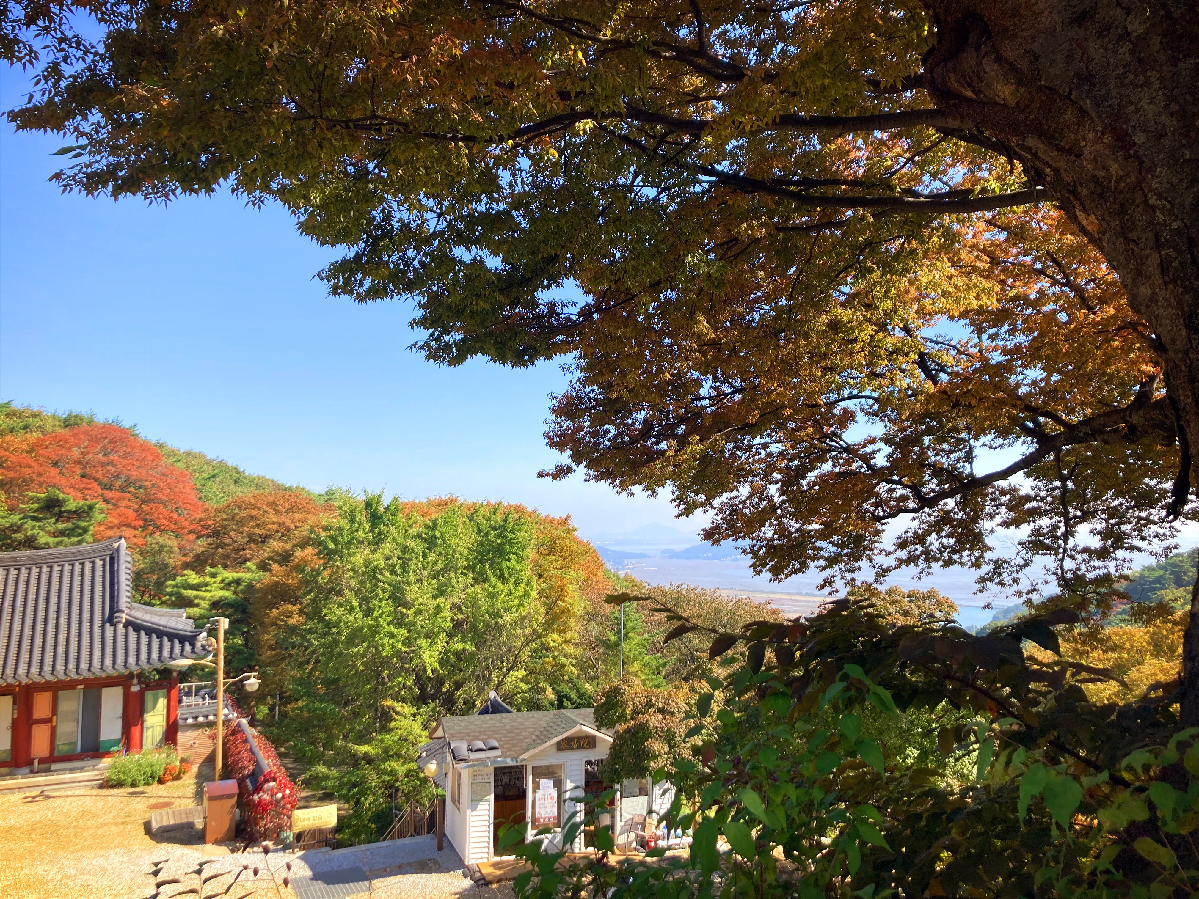 정수사