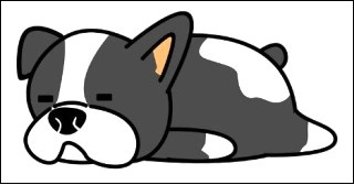 죽어있는 강아지를 본꿈