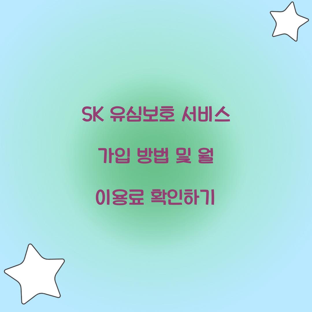 SK 유심보호 서비스 가입 방법 및 월 이용료 안내