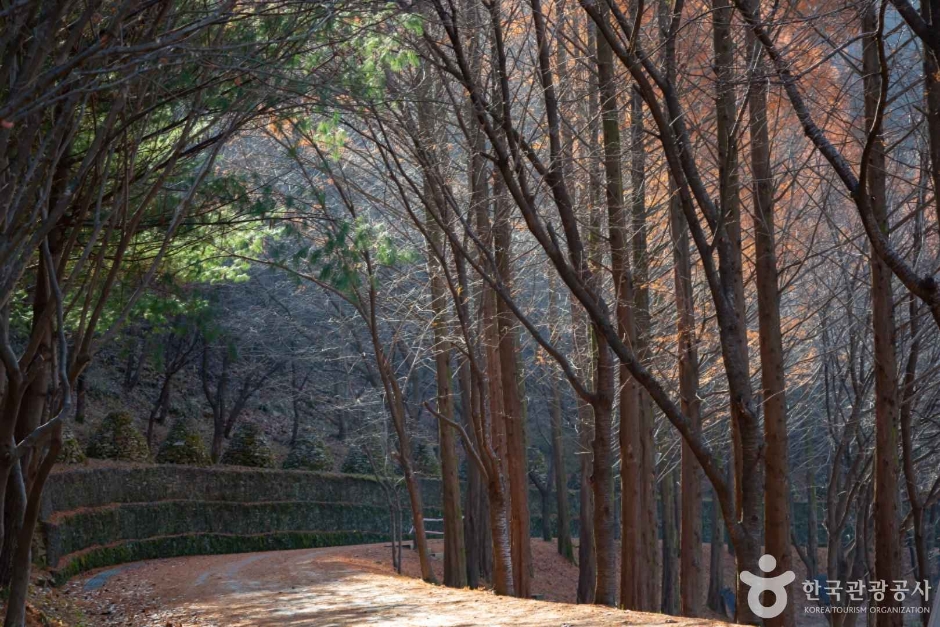 대전근교 주말나들이 상소동 산림욕장