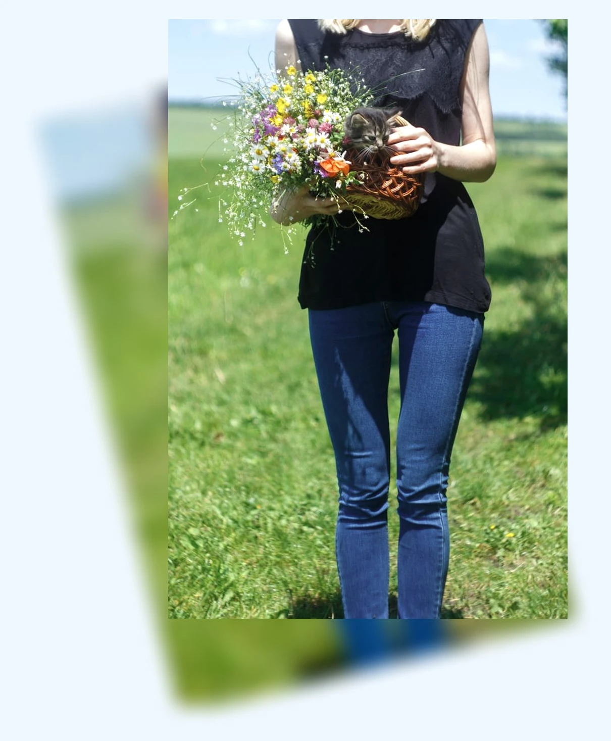 고양이 여름나기_1_subsection