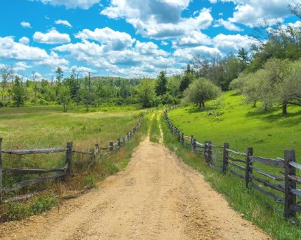 사주 토 기운의 실체 관련 사진