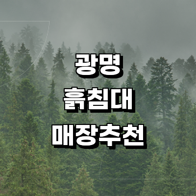 광명시 흙침대