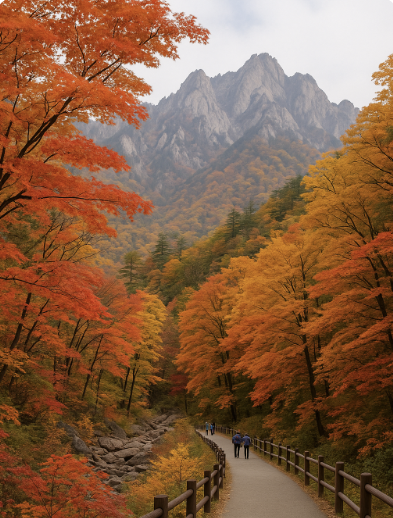 강원도 단풍명소 TOP7 ❘ 가족여행 추천 코스 & 절정시기 정리 관련 사진