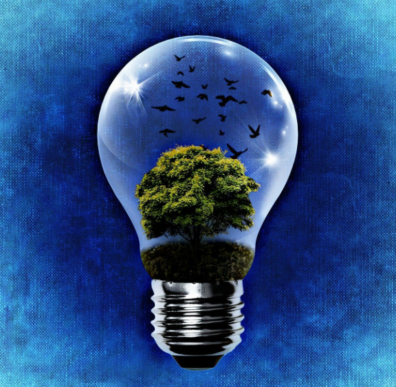 자연과 기술의 융합: 바이오테크 시대