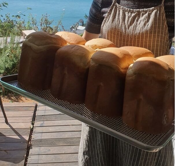 생생정보 두 집 살림 카페 순이로 남해 한 달 살아보기 카페 톨 생생정보 2299회