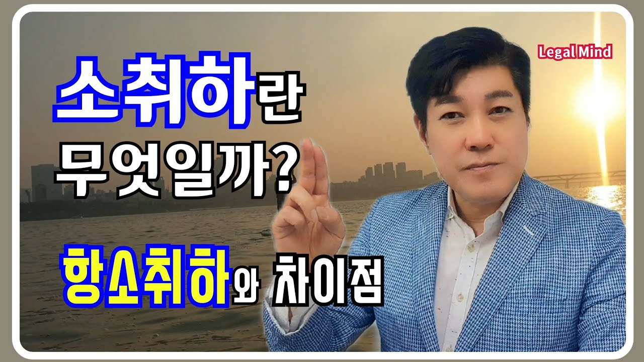 소취하-항소취하