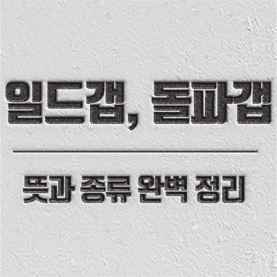 일드갭 일드갭 정의 및 다른 갭 종류 소개