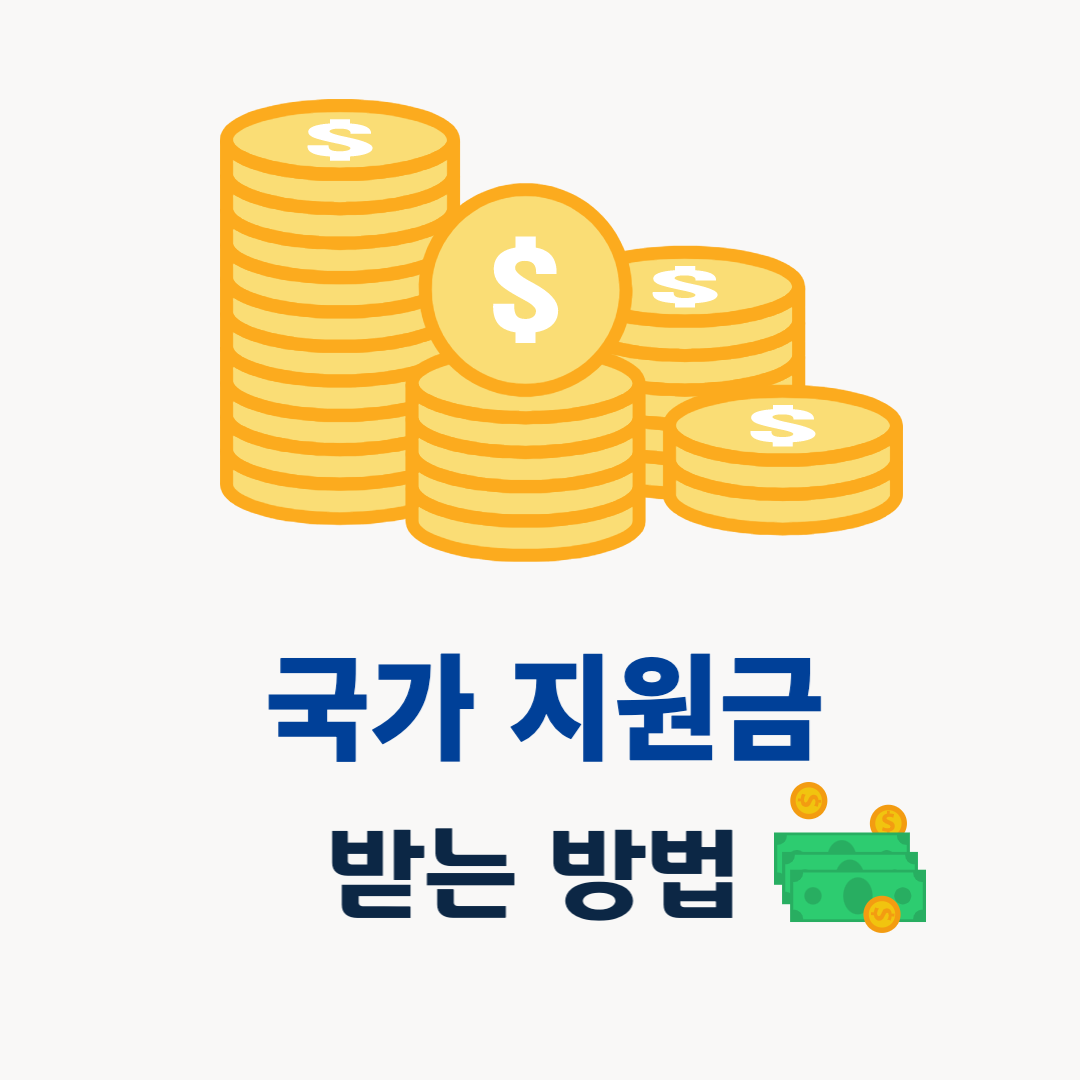 국가-지원금