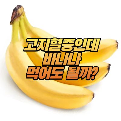 고지혈증과바나나섭취