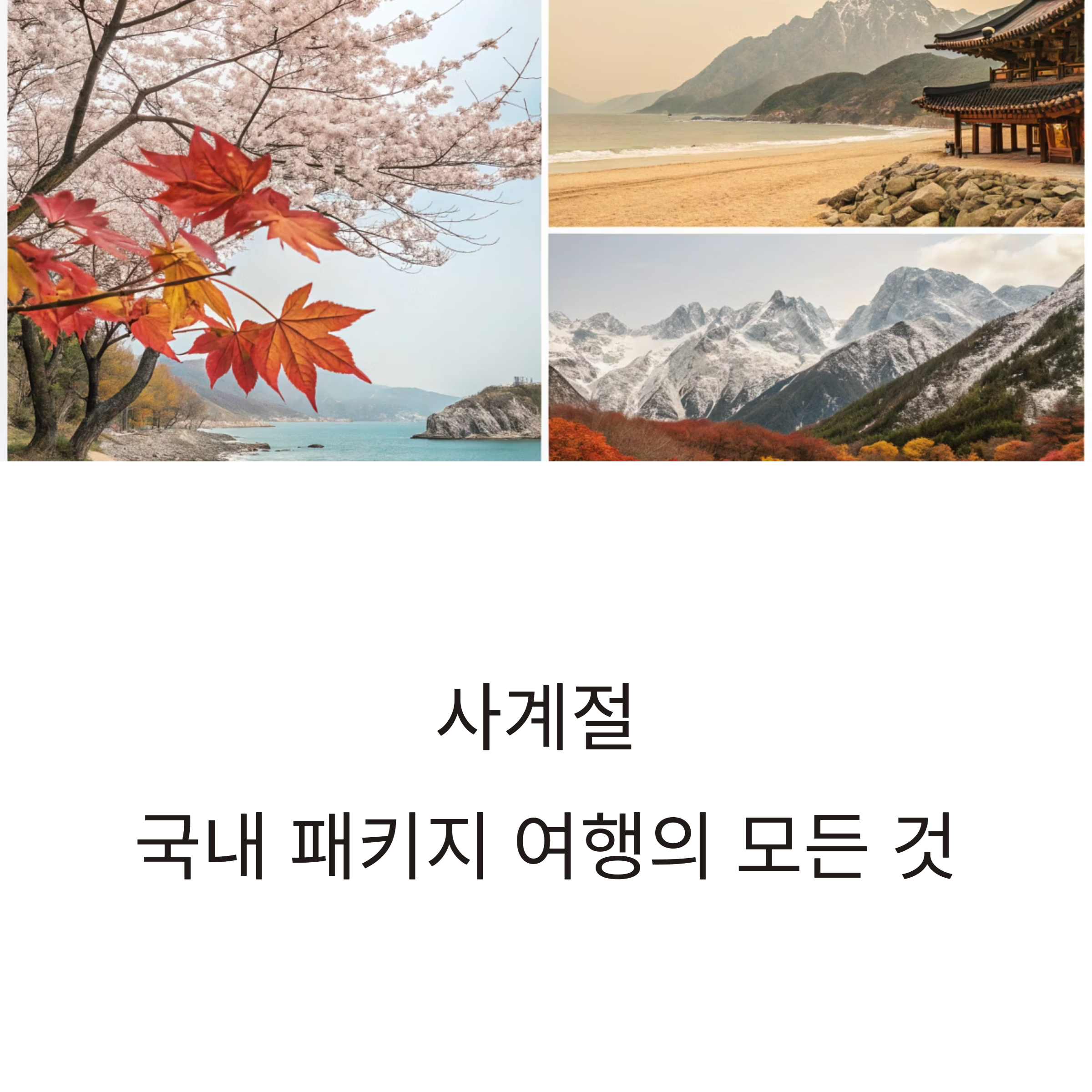 계절별 즐기는 국내 패키지 여행