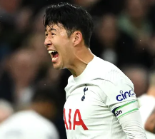 토트넘 브라이튼