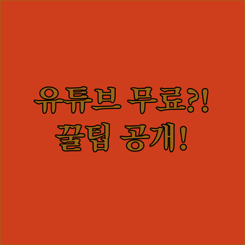 안전하고 경제적인 유튜브 프리미엄 공..