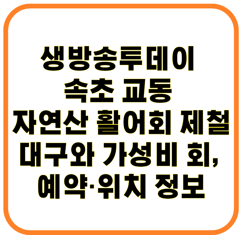 생방송투데이 속초 교동 자연산 활어회 제철 대구와 가성비 회, 예약·위치 정보까지
