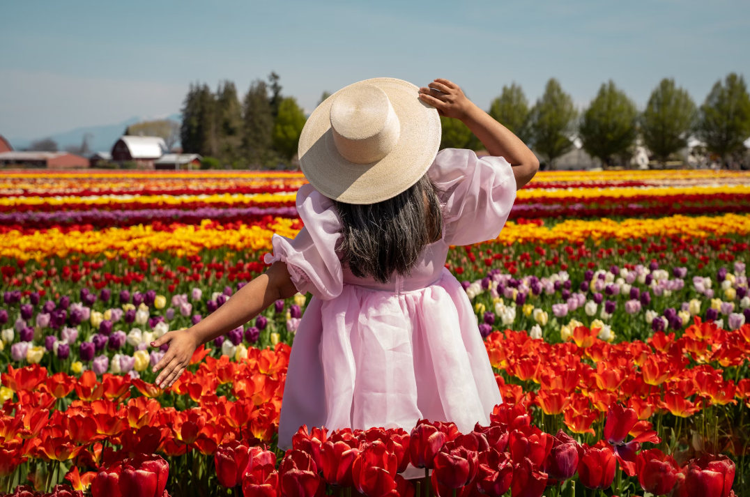 튤립축제 관련 이미지