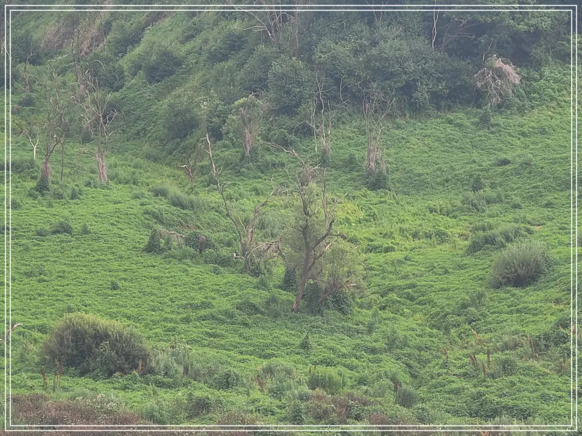 연천-재인폭포-탐방로-한탄강-건너-확대
