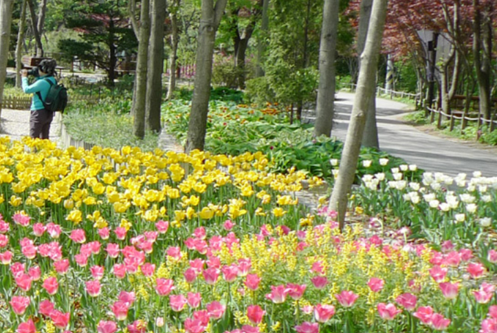용인 한택식물원 안내 
