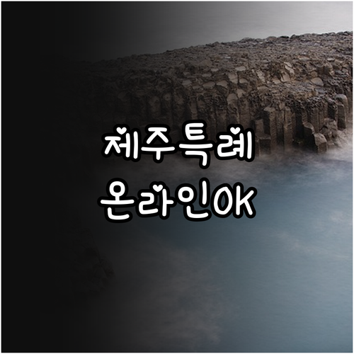 2025 제주 골목상권 특별보증: 온..