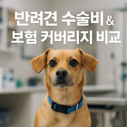 강아지 수술비 얼마나 들까? 펫보험 커버리지만 보면 답 나옵니다