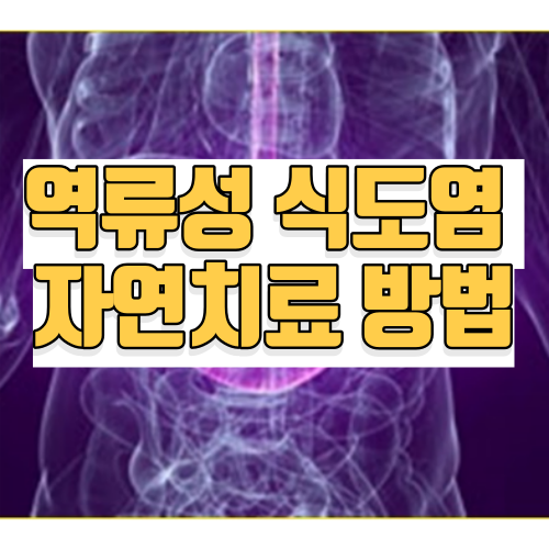 역류성 식도염 자연치료 방법