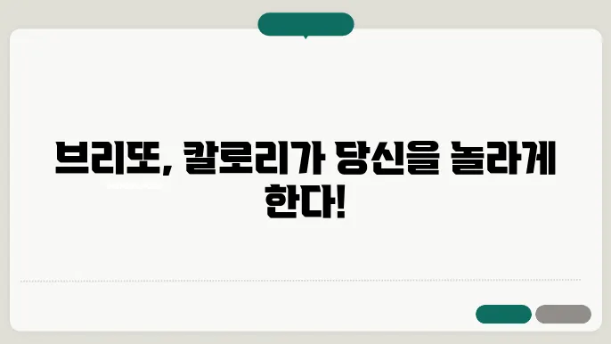 브리또 칼로리 표