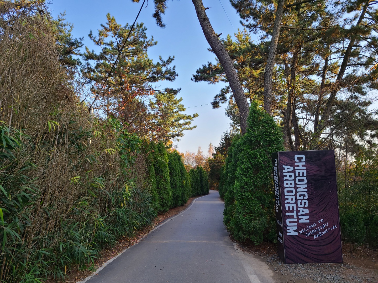 태안가볼만한곳-태안데이트-청산수목원-입구