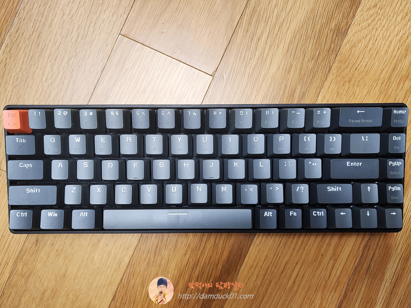 ZIYOULANG K68 기계식 무선 키보드