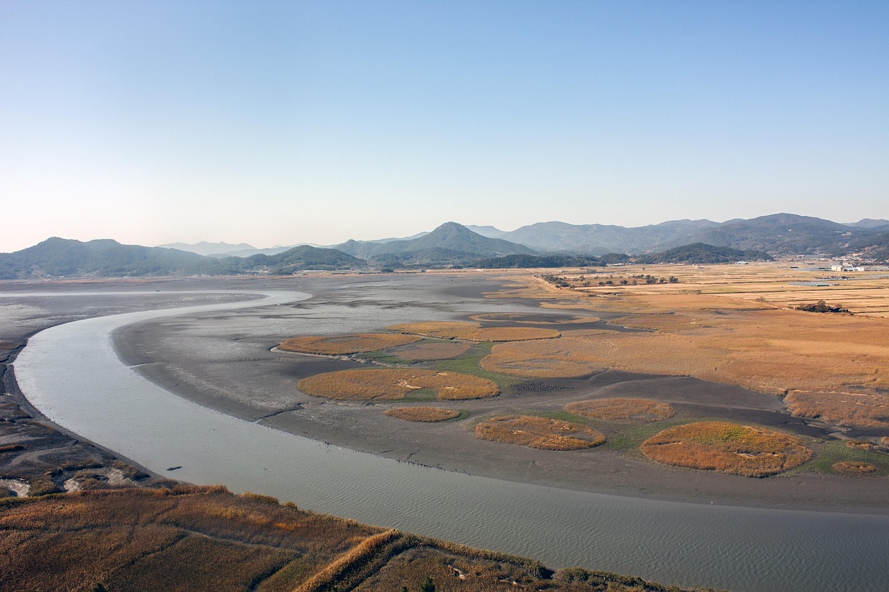 순천만 습지 관련 사진