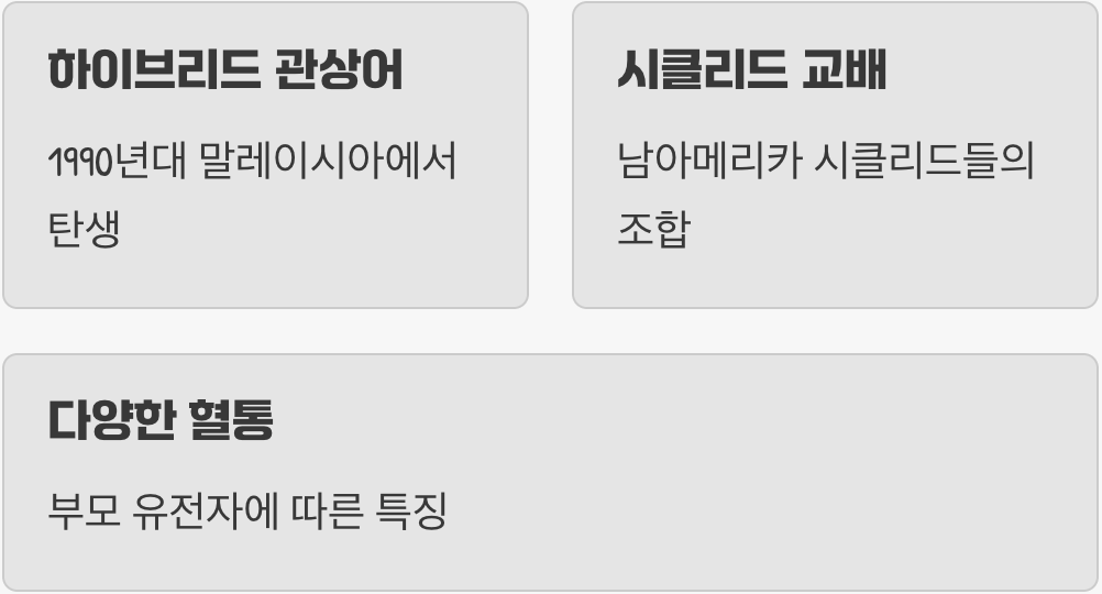 모든 것의 시작&amp;#44; 플라워혼의 탄생