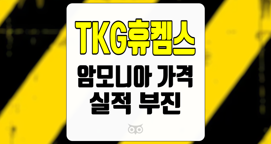 TKG휴켐스, 시장 예상치를 하회한 실적과 그 배경 분석