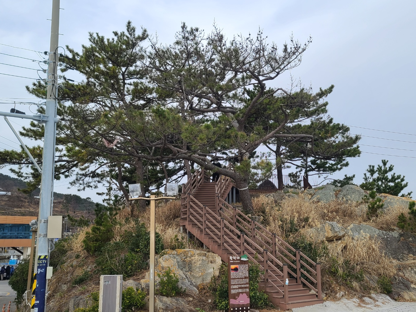 황학대와 뒤로 보이는 왜성