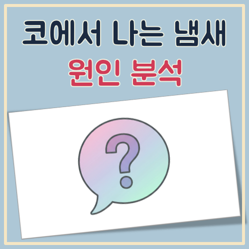 코에서 냄새가 나요 대표 이미지