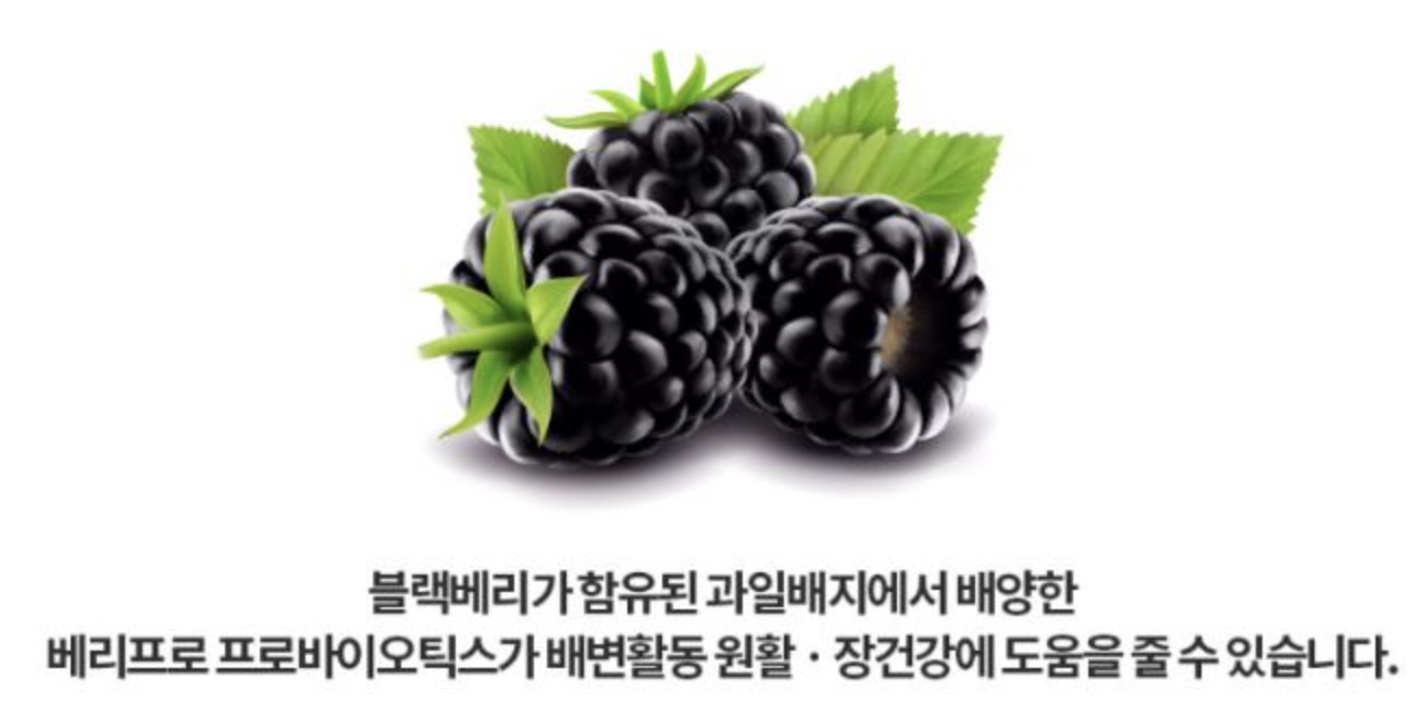 블랙베리프로바이오틱스-효능