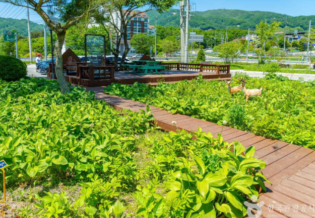 로컬미식여행