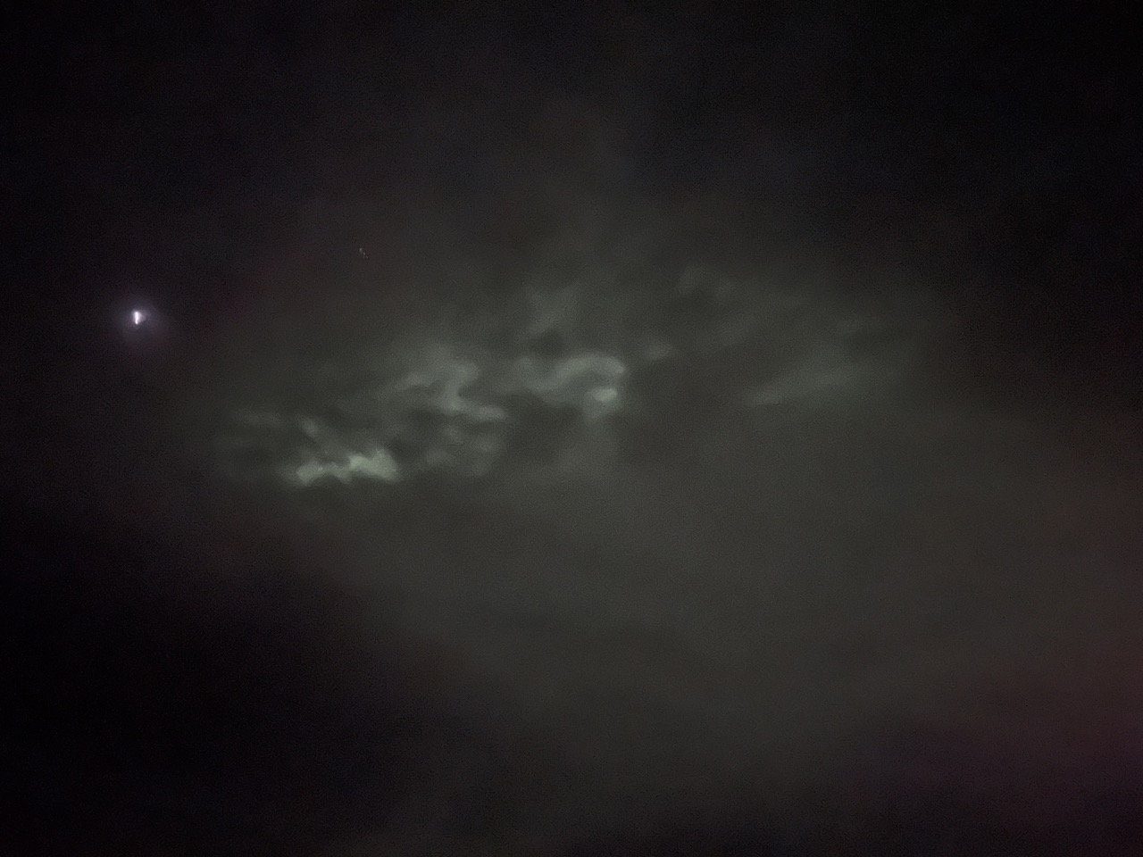 새벽 두시가 넘어가는 시간. 체념하고 돌아가려는 찰나, 뭔가 푸른빛이 보이기 시작한다.