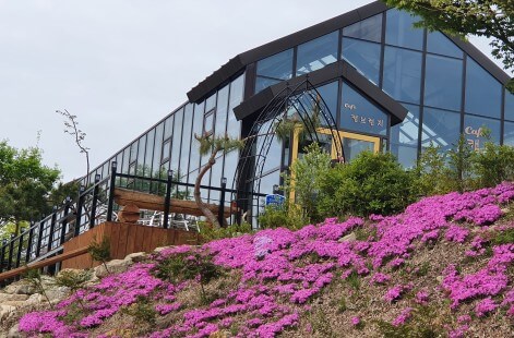 6시 내고향 무주 카페 캠핑 체험 무주눈꽃덕유캠프