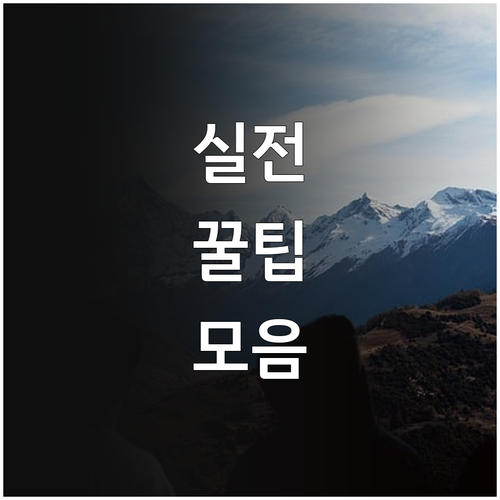 미취업 청년 2025 금정구 자격증 ..