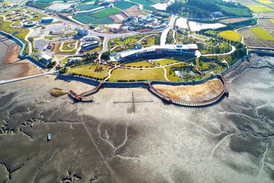 무안 황토 갯벌축제